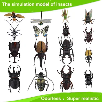 Deti Veľké Plastové 3D Butterfly Dragonfly Chrobák... Hmyzu Model Zaujímavé Veda činnosť hračky