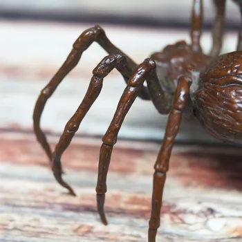 Pevné Čistej Medi Spider Socha Čaj Pet Ornament Vintage Simulácia Zvieracie Figúrky Miniatúr, Črepníkové Krajiny Domáce Dekorácie
